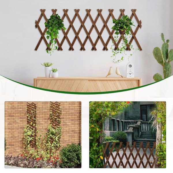 SenQWFa 60 Inch Wooden Expandable Trellis Lattice Fence Panel Wall Outdoor  Space-Saving Versatile Plant Support for Vines 479OFPH012 - The Home Depot