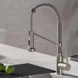 Bolden Single-Handle Pull-Down Sprayer Kitchen Faucet with Dual Function Sprayhead in Stainless Steel and Chrome