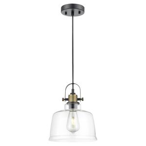 Arie 1-light Black/Brass/Clear ​Pendant Light with Glass Shad