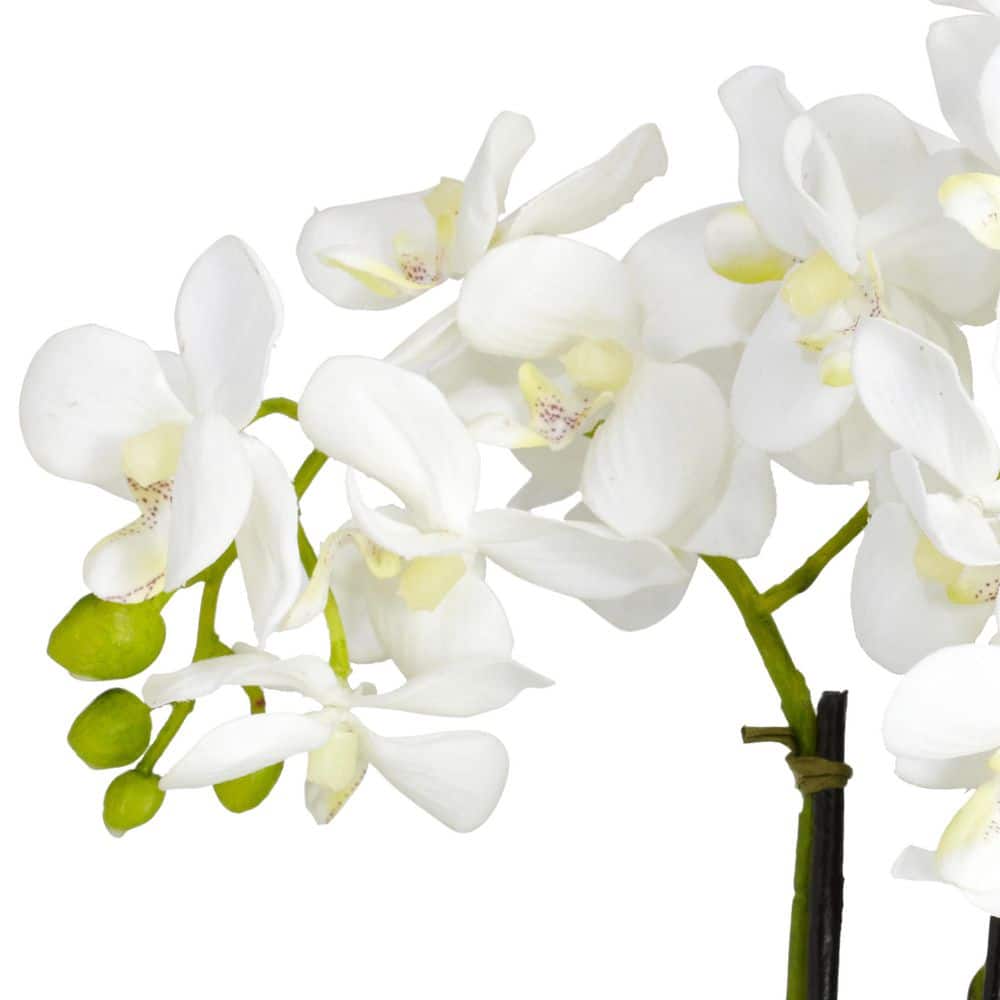 Triple Mini Phalaenopsis White Faux Orchid in Ceramic Planter