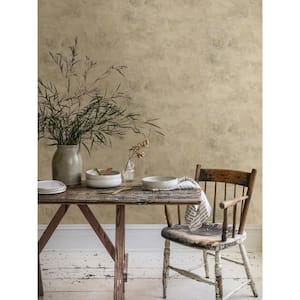 Artisan Plaster Natural Neutral Texture Wallpaper