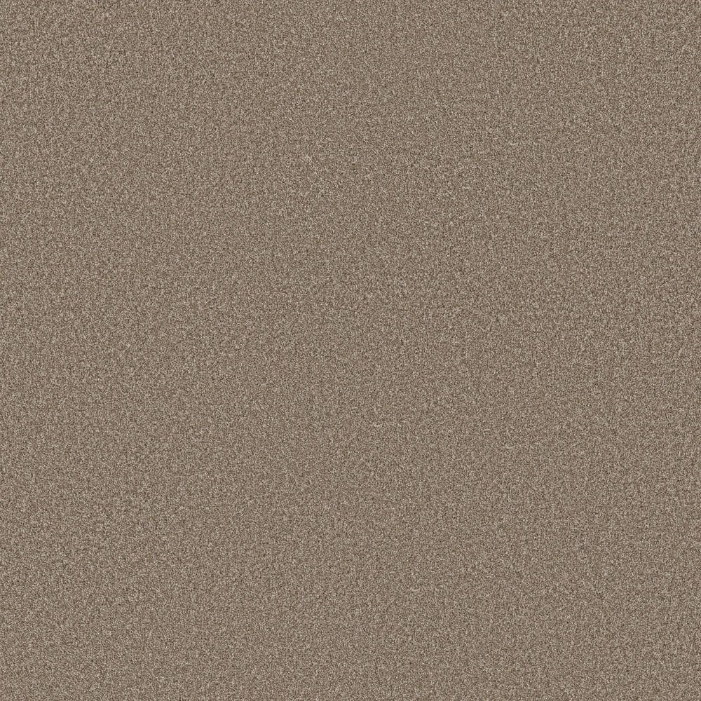 8 in. x 8 in. Texture Carpet Sample - Snug Sweets I - Color Mocha price history on PriceWatchPro
