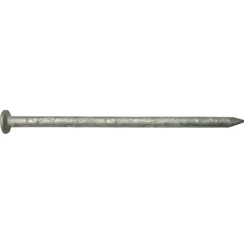 #10 x 3-1/2 in. 16-Penny Outdoor Galvanized Non-Collated Box Nail (50 lbs.