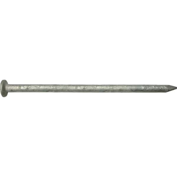 HUTTIG-GRIP #10 x 3-1/2 in. 16-Penny Outdoor Galvanized Non-Collated Box Nail (50 lbs. Box)