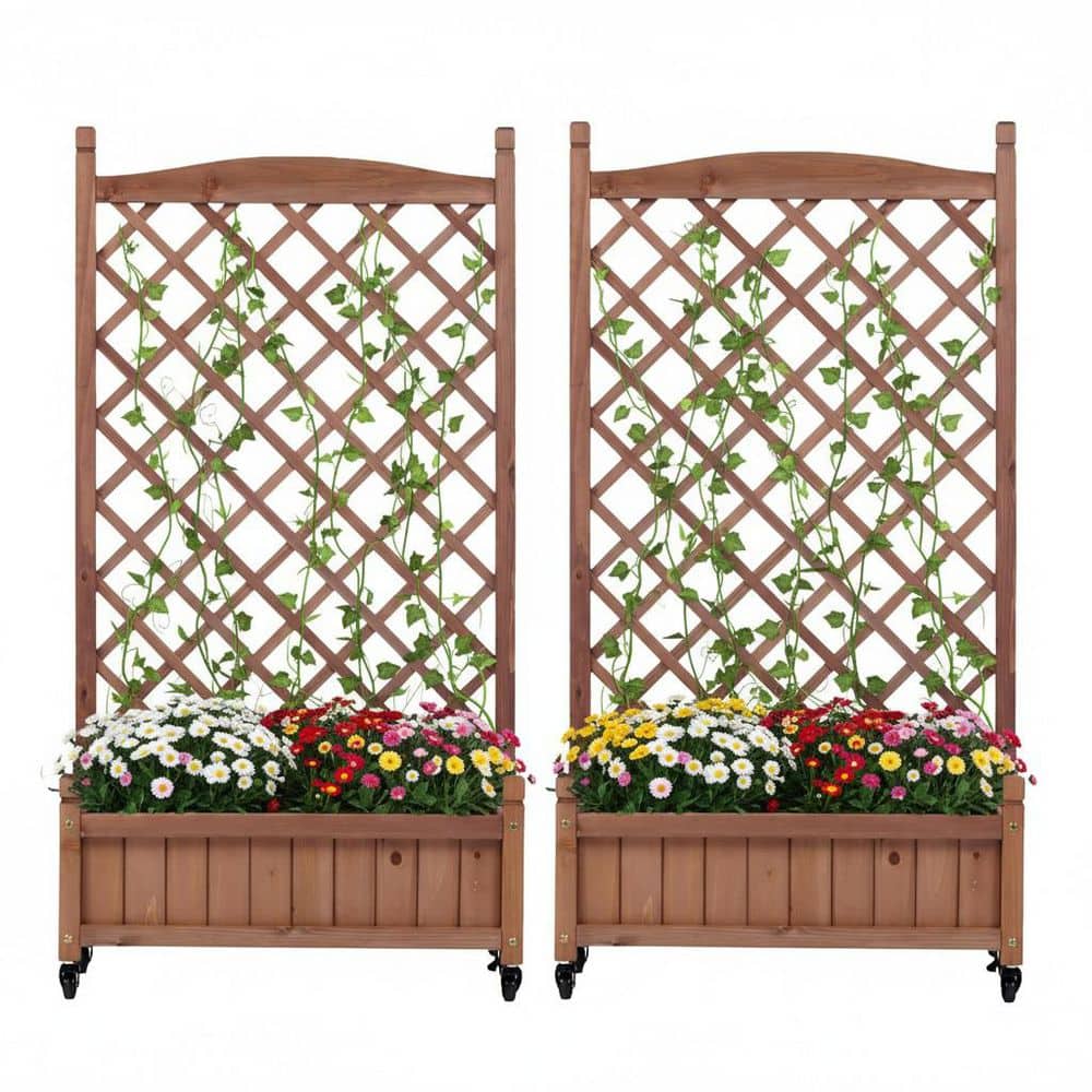 Brown 25 in. L x 11 in. W Raised Garden Bed with Trellis 2 Pack, Wooden Planter Box & Plant Stand with Climbing Racks price history on PriceWatchPro