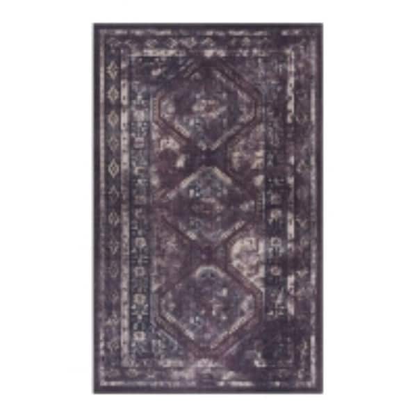 8X10 Washable Area Rug Low Pile Non Slip Non Shedding Foldable Kid Pet Friendly for Living Room Bedroom Kitchen