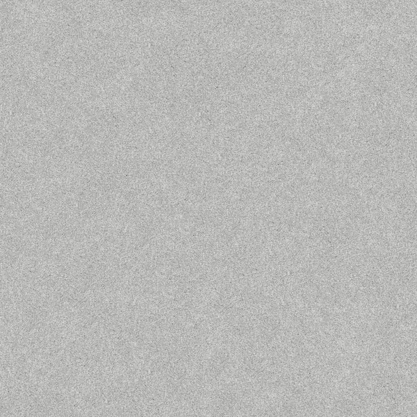 Lifeproof Coastal Charm I - Color Cold Winter Gray 42 oz. Nylon Texture Installed Carpet