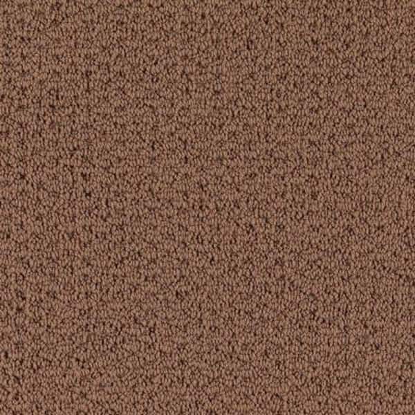 Lifeproof Carpet Sample - Morningside - Color Cocoa Loop 8 in. x 8 in.