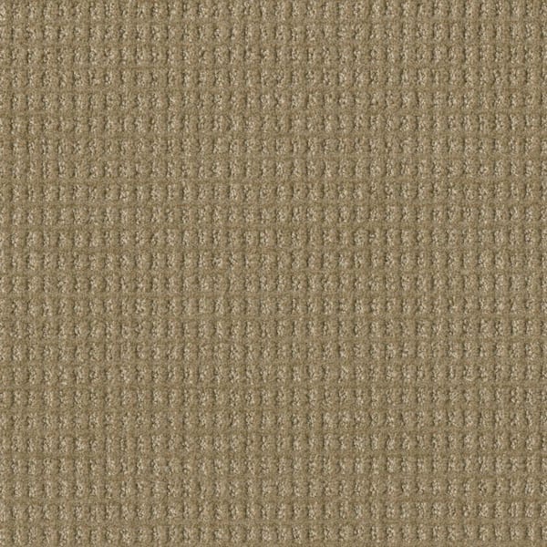 Home Decorators Collection Amaryllis-Celica Brown-35 oz. SD Polyester Pattern Installed Carpet