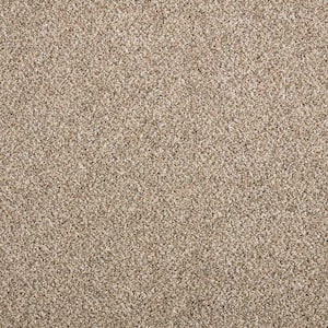 Maisie II  - Scotch Tweed - Beige 52 oz. Triexta Texture Installed Carpet