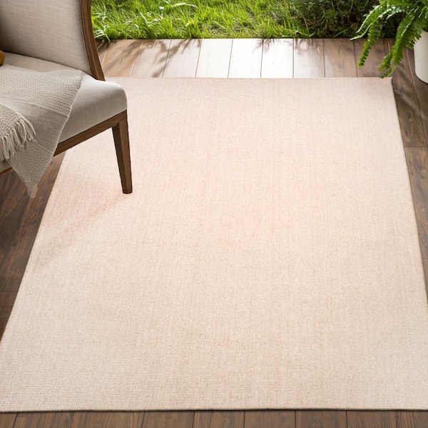 Delara PET Rug Indoor Outdoor Light Beige 8 ft. x 10 ft. Hose Washable Kitchen/Bedroom/Living Room/EasyClean Area Rug
