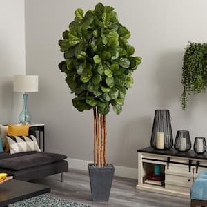 Indoor 7.5 ft. Artificial Fiddle Leaf Tree in Slate Planter