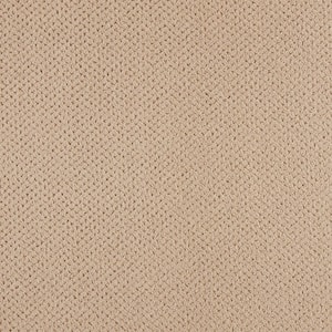 Pretty Penny  - Earth Tone - Beige 50 oz. Triexta Pattern Installed Carpet