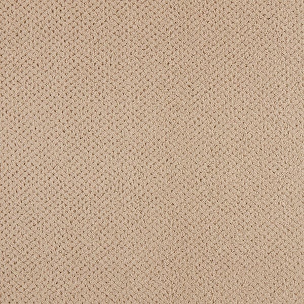 Lifeproof with Petproof Technology Pretty Penny  - Earth Tone - Beige 50 oz. Triexta Pattern Installed Carpet
