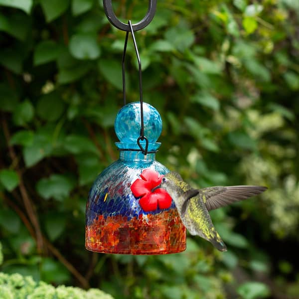 Hummingbird feeder hot sale supplies