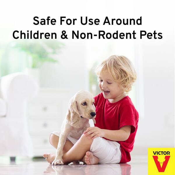 do ultrasonic rodent repellents affect dogs