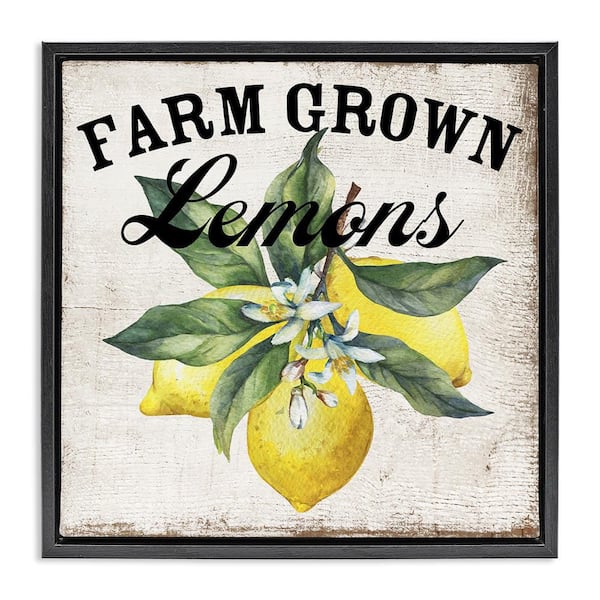 Stupell Industries Farm Grown Lemons by Creatif Belle Black Floater Frame Food Graphic Art Print 18 in. x 18 in.