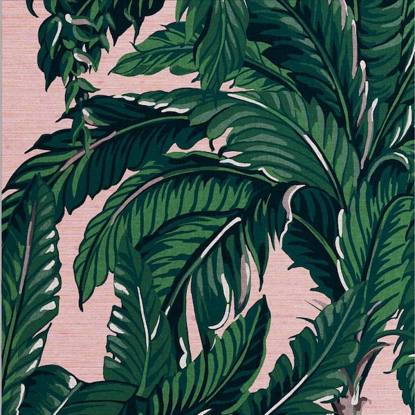 Graham & Brown Daintree Palm Blush Wallpaper