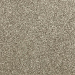 Denfort - Perfect Taupe - Brown 70 oz. Triexta Texture Installed Carpet