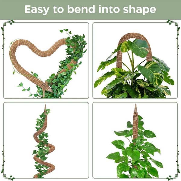 Cubilan 1-Pack 48 in. Bendable Moss Pole Monstera Plant Support-Coconut  Palm Fiber-Brown-Climbing Plant Support Structure Jaycool60253 - The Home  Depot