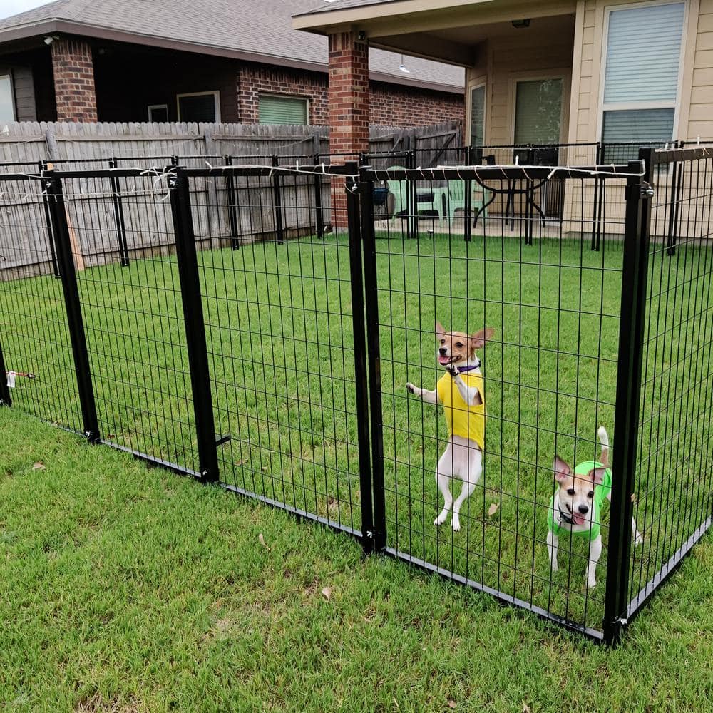 ALEKO Black Metal 10x10x4 Feet Heavy Duty Pet Playpen