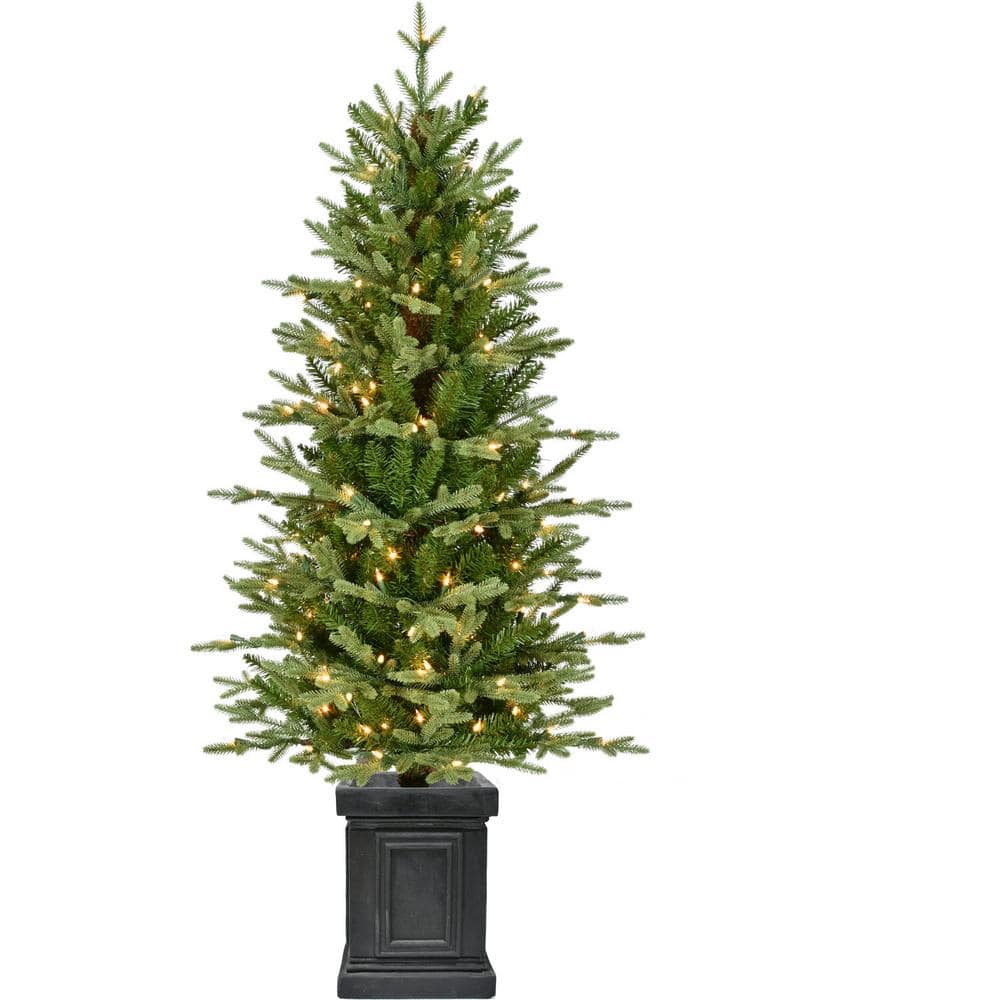 4.5-Ft. Porch Tree in Black Pot with Clear Lights