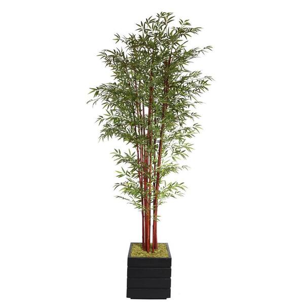 Laura Ashley 98 in. Tall Harvest Bamboo Tree in 14 in. Fiberstone Planter