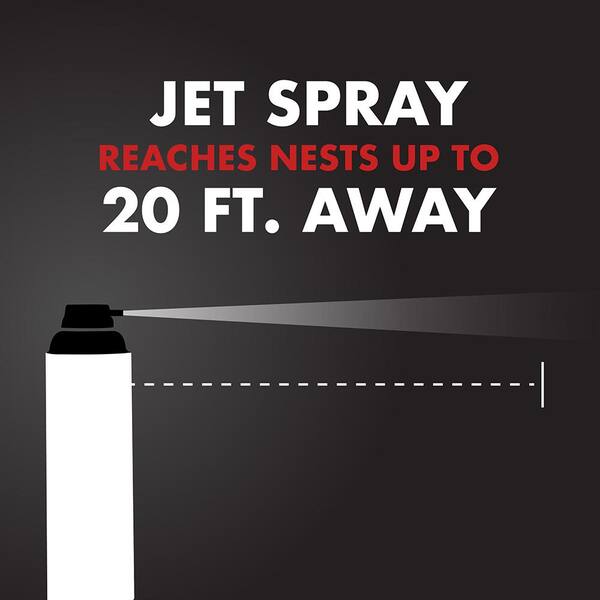Spectracide PRO Aerosol Wasp and Hornet Killer 18 oz