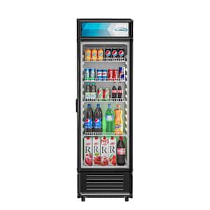 9 cu. ft. Commercial Upright Display Refrigerator Glass Door Merchandiser with LED Lighting in Black
