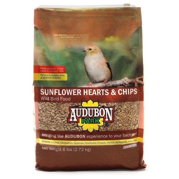 chipped sunflower seeds for birds