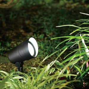 Low-Voltage Aluminum Black Hardwired LED Outdoor Landscape Rust Resistant Path Light