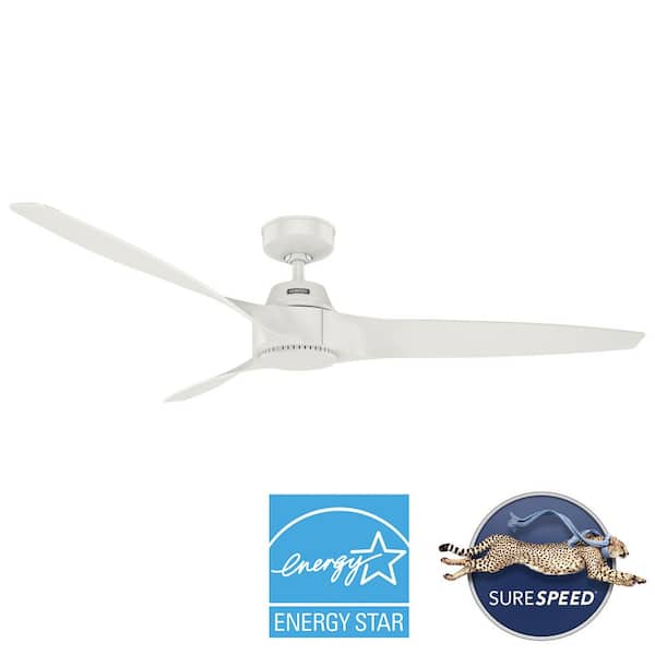 Mosley 60 in. ENERGY STAR Fresh White Damp Rated Ceiling Fan and Wall Control