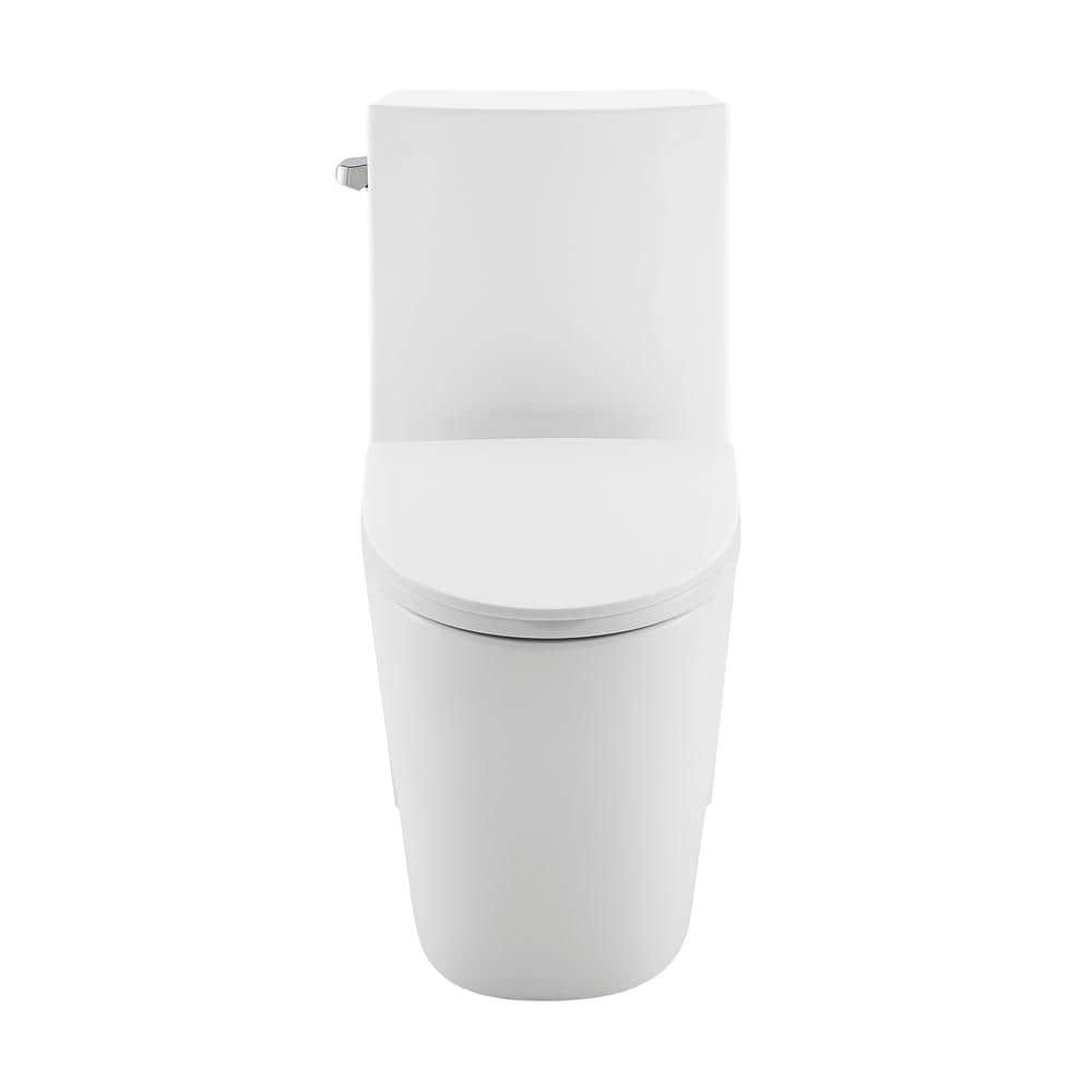 Glossy White High Efficiency One-Piece Elongated Toilet