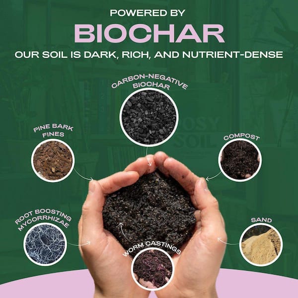 african violet potting mix Espoma Organic African Violet Mix