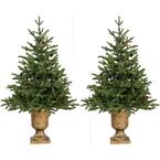 3 ft. Noble Fir Artificial Trees with Metallic Urn Bases (Set of 2)