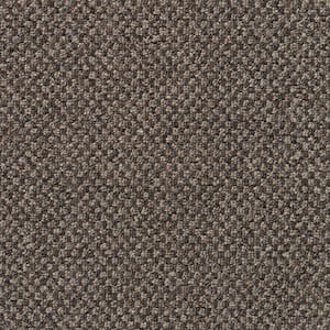 Colwick  - Manatee - Brown 20 oz. Polyester Pattern Installed Carpet