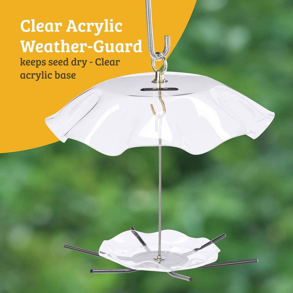 Clear Acrylic Hanging Seed Cylinder Bird Feeder