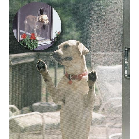 36 in. x 100 ft. Black Pet Screen