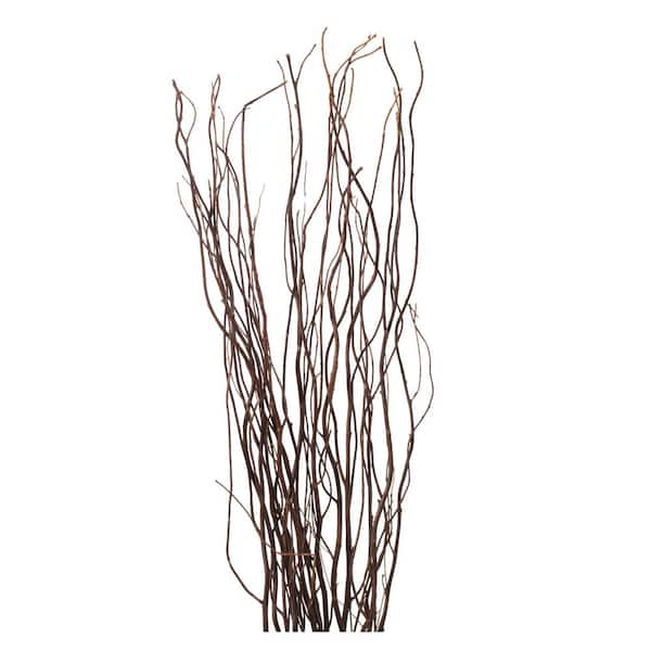 Fresh Curly Willow, 100 Branches, 3-4' Green