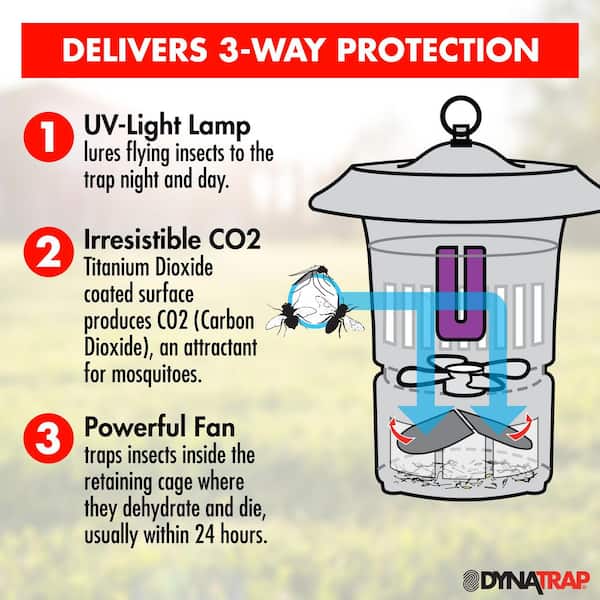 Dynatrap 1-Acre XL Mosquito and Insect Trap for Outdoor and Indoor -  Targets Mosquitoes and Flying Insects DT2000XLP - The Home Depot