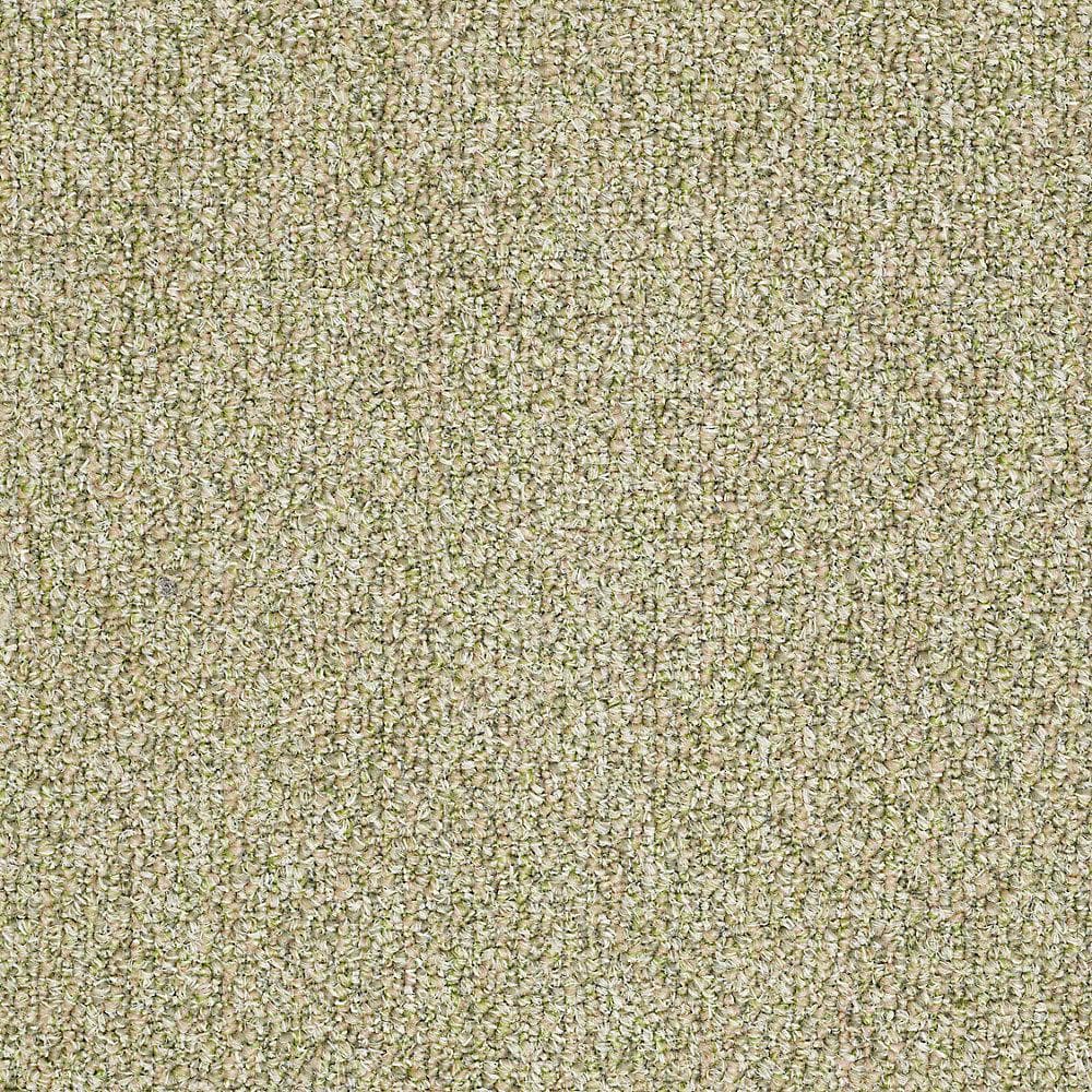 8 in. x 8 in. Berber Carpet Sample - Fallbrook - Color Willow Winds price history on PriceWatchPro