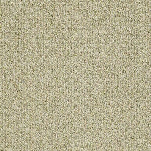 8 in. x 8 in. Berber Carpet Sample - Fallbrook - Color Willow Winds
