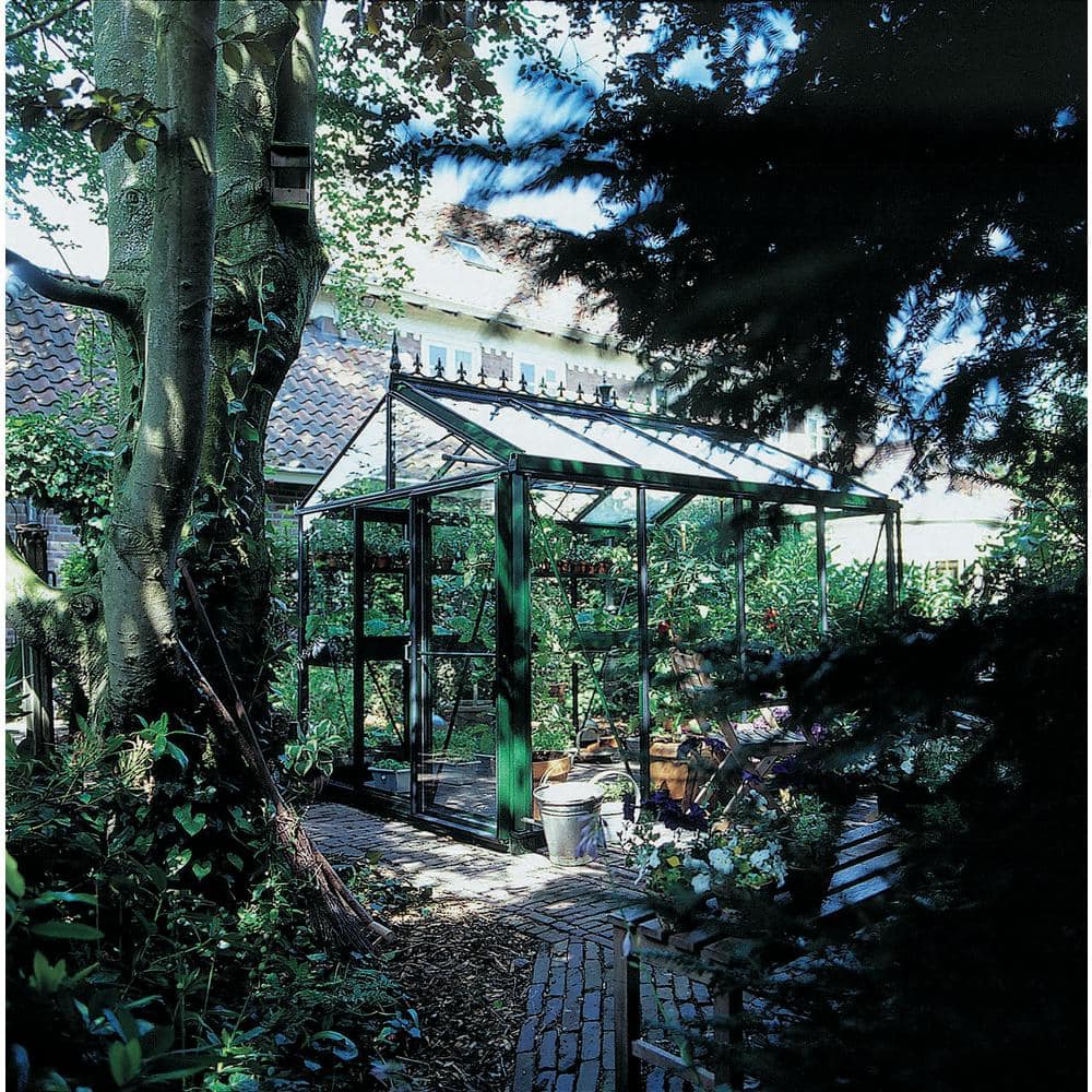 Royal Victorian 8x10 Black Aluminum and Glass Greenhouse