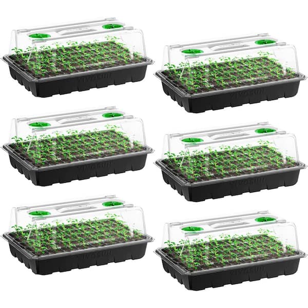 VIVOSUN 240-Cell 6-Pack Seed Starter Kit with High Humidity Dome