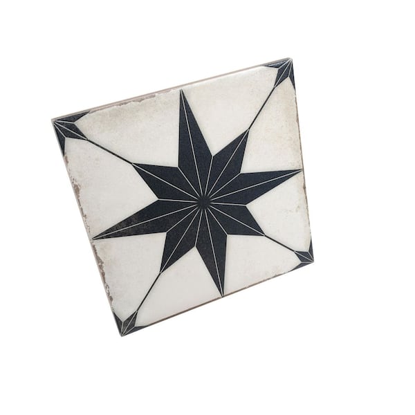 Apollo Tile Faenza 8 in. x 8 in. Matte White Black Porcelain