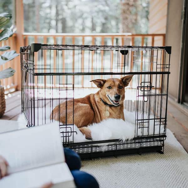 Lucky Dog Dwell Series 30 in. W x 24 in. H x 21 in. D Black Metal