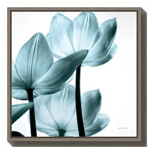"Translucent Tulips III Sq Aqua Crop" by Debra Van Swearingen Framed Canvas Wall Art