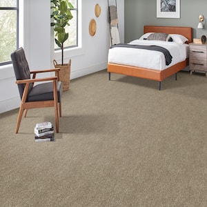 Denfort - Contempo-Brown 70 oz. Triexta PET Texture Installed Carpet