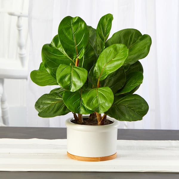 Nearly Natural 15 in. Fiddle Leaf Artificial Tree in White Planter
