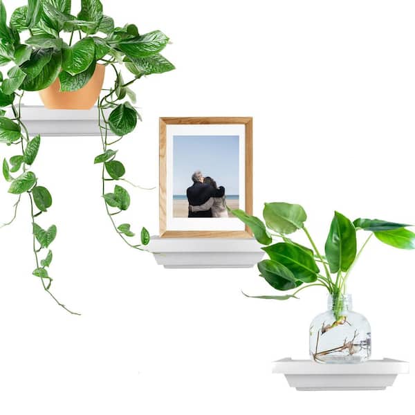 Unbranded 6 in. W x 4 in. D Floating Wall Shelves Mounted Set of 3, Small Decorative Wall Shelf